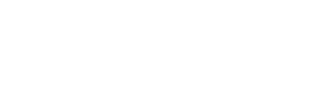 Zoomer